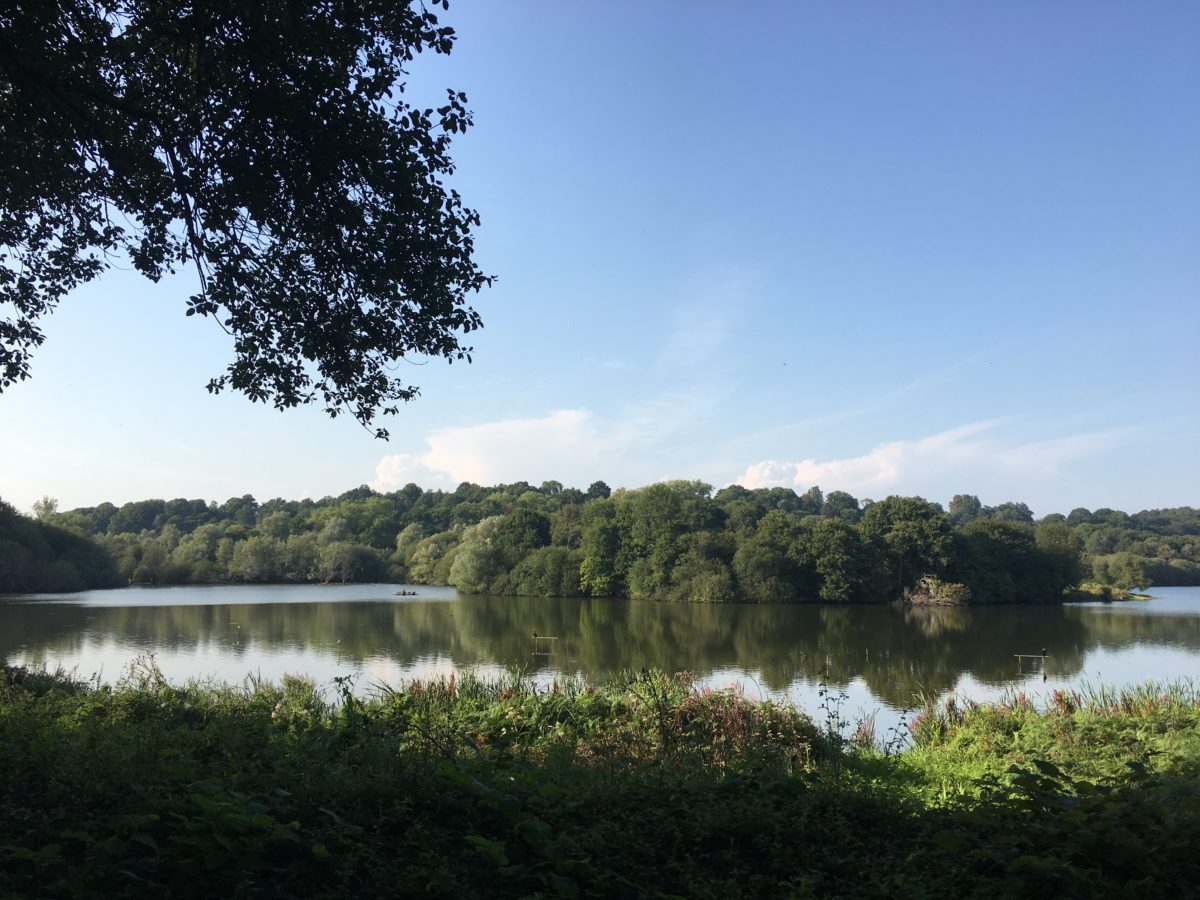 Nature