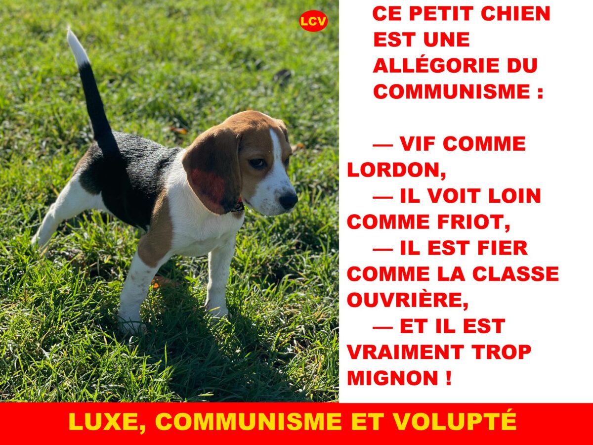 Luxe, Communisme et Volupté (1)
