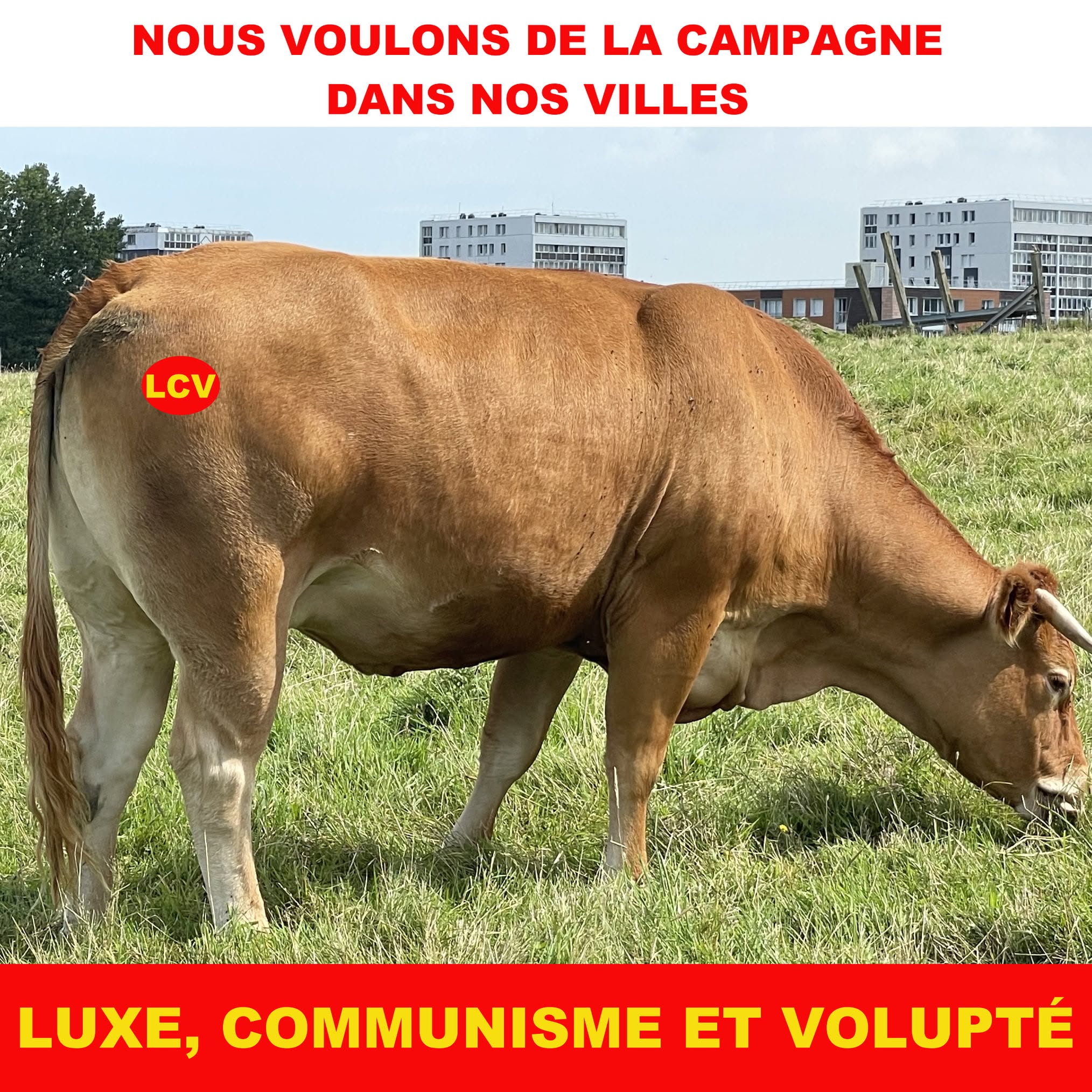 Luxe, Communisme et Volupté (2)