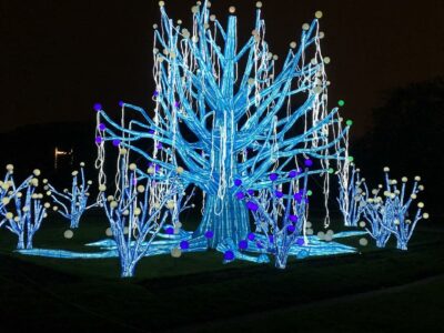 Exposition nocturne au Jardin des plantes en janvier 2019