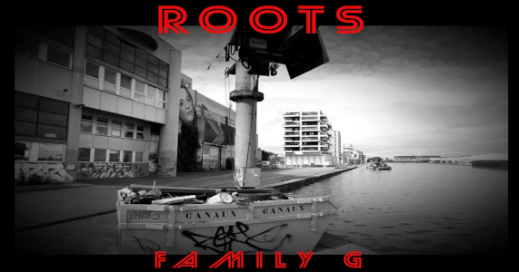 Roots