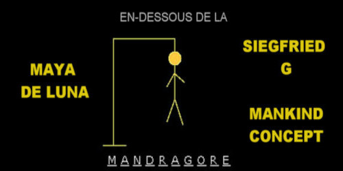 Situation n°5 : En-dessous de la mandragore